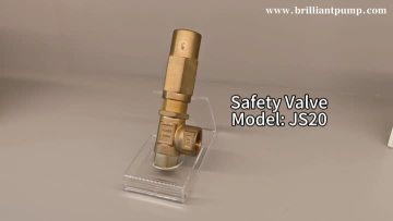 Safety Valve JS20