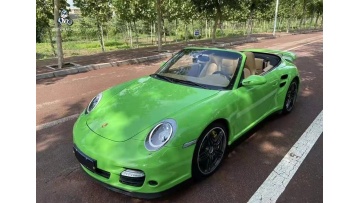 TPU Lizard Green