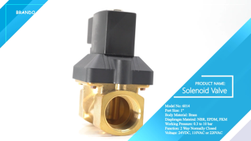 6213 A 1'' 2 Way Normally Closed Brass Solenoid Va