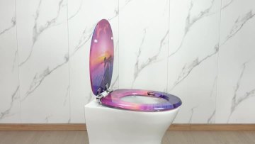 Fanmitrk Toilet Seat MDFDJ2505