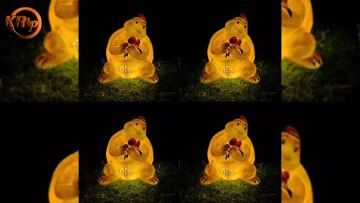 turtle lights