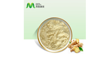 Pure Taste Good Water Solubility Ginger Root Powder1