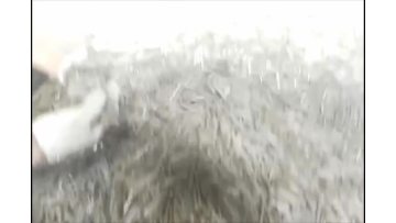 1-1.5吨生产线.mp4