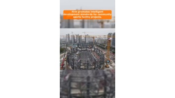 Video 38