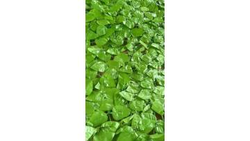 Display the artificial green plant splicing base plate with light-colored peach leaves