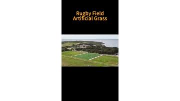 Rugby vedio(4)