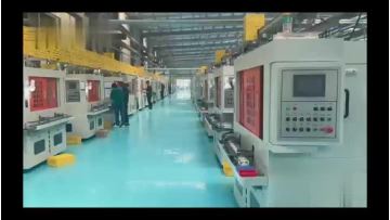 Company show video
