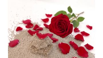 Rose Scented Bentonite Cat Litter