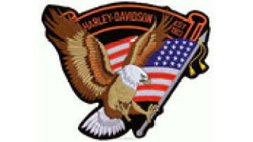 Custom Top Quality Eagle Patch US Style Eagle Patches on Sale1