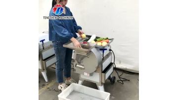 TS-Q112A Industrial vegetable slicing and dicing machine