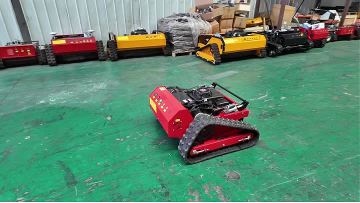 550LGas Lawn Mower