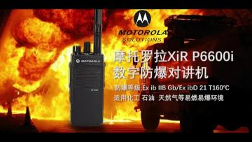 Motorola XIR P6600I