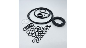 Hydraulic Pump Repair Kit10