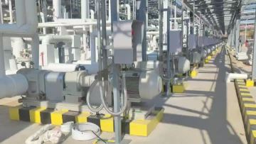 Durrex rotor pumps customer engineering scene