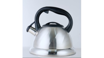 High-quality stainless steel tea kettle FH-185