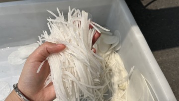 ST-Q301 Radish Shredding Machine