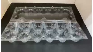 Plastic Egg Clamshell