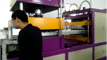 EPS XPS  PS foam tray thermocol plate disposable fast food box take away food container making machine1