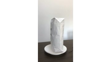 valvepaper bag (2) present