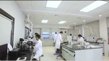 Polyurethane adhesive--Xinhui Chemical