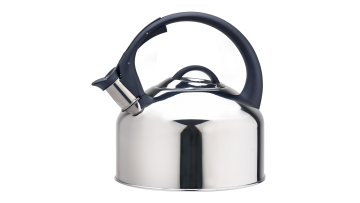 Stainless steel home use kettle FH-466