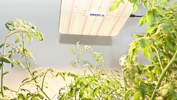 LED Grow Light PCB