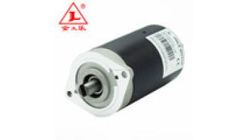DC Motor electric 12v 800 W1
