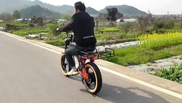 YLQ Electric bicycle
