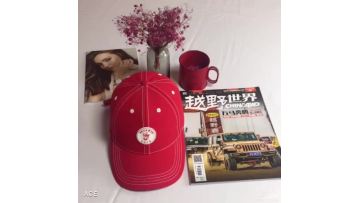 6 Panel Red Baseball Cap