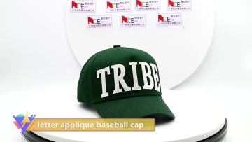  Appliques 5 Panel Baseball Cap