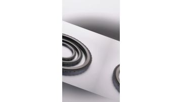 Graphite Dry Gas Seals