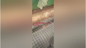 1/2 Inch Aperture Low Carbon ron Wire Material Hot Dipped Galvanized Welded wire mesh1