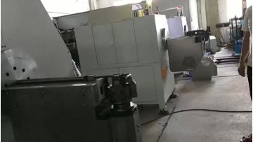 SAMPLE Video