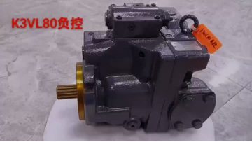 K3VL80 Negative Control