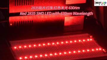 Red 2835 SMD LED with 630nm Wavelength