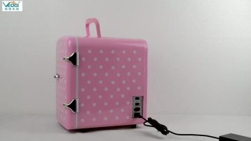 custom 4L mini bar fridge and freezers  Suitable for travel, camping, cars, boats, beverages, snacks and cosmetics1