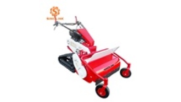 High Quality Cost Effective Walking Behind Flail Mower for Weed, Brushwood, and Hard Grass1