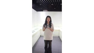 Company Introduction 2
