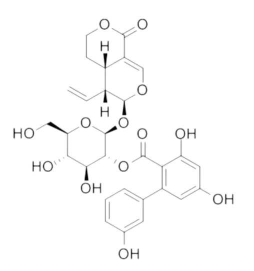 Amarogentin powder material
