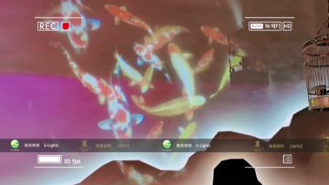Lavius & G-Lights LED projector light