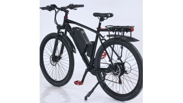 MTB E-bike 29 Inch Mountain Electric Bike