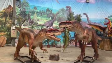 Allosaurus Video