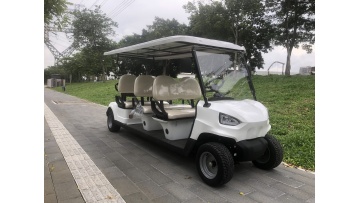 6-seater golf carts purchased by Mexican customers
