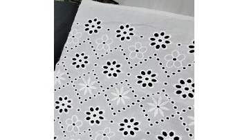 europe ivory white embroidery cotton lace fabric swiss lace fabric voile cotton fabrics for ladies dress1