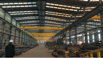 Suspended Crane