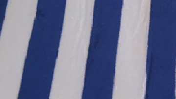 Dobby Border 16s 40x80x180g