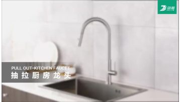 Pull Down Faucets.MP4