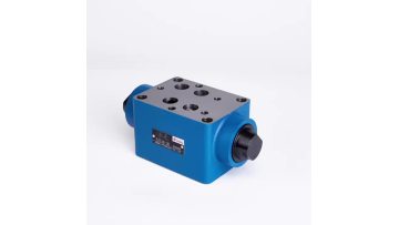 Z2S16 check valve