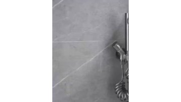 bathroom spray gun