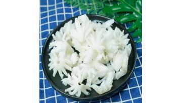 Squid flower